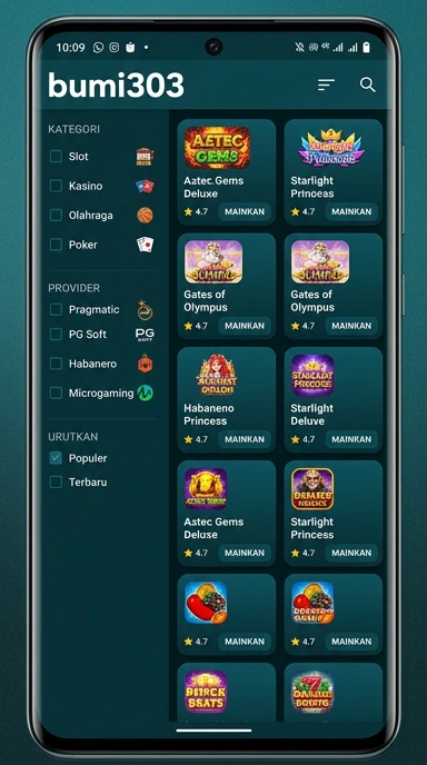 Tampilan katalog aplikasi bumi303